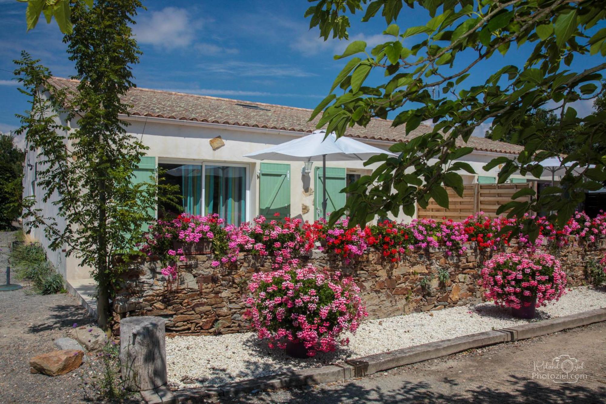 Villa Domaine Les Rousselieres Olonne-sur-Mer Exterior foto