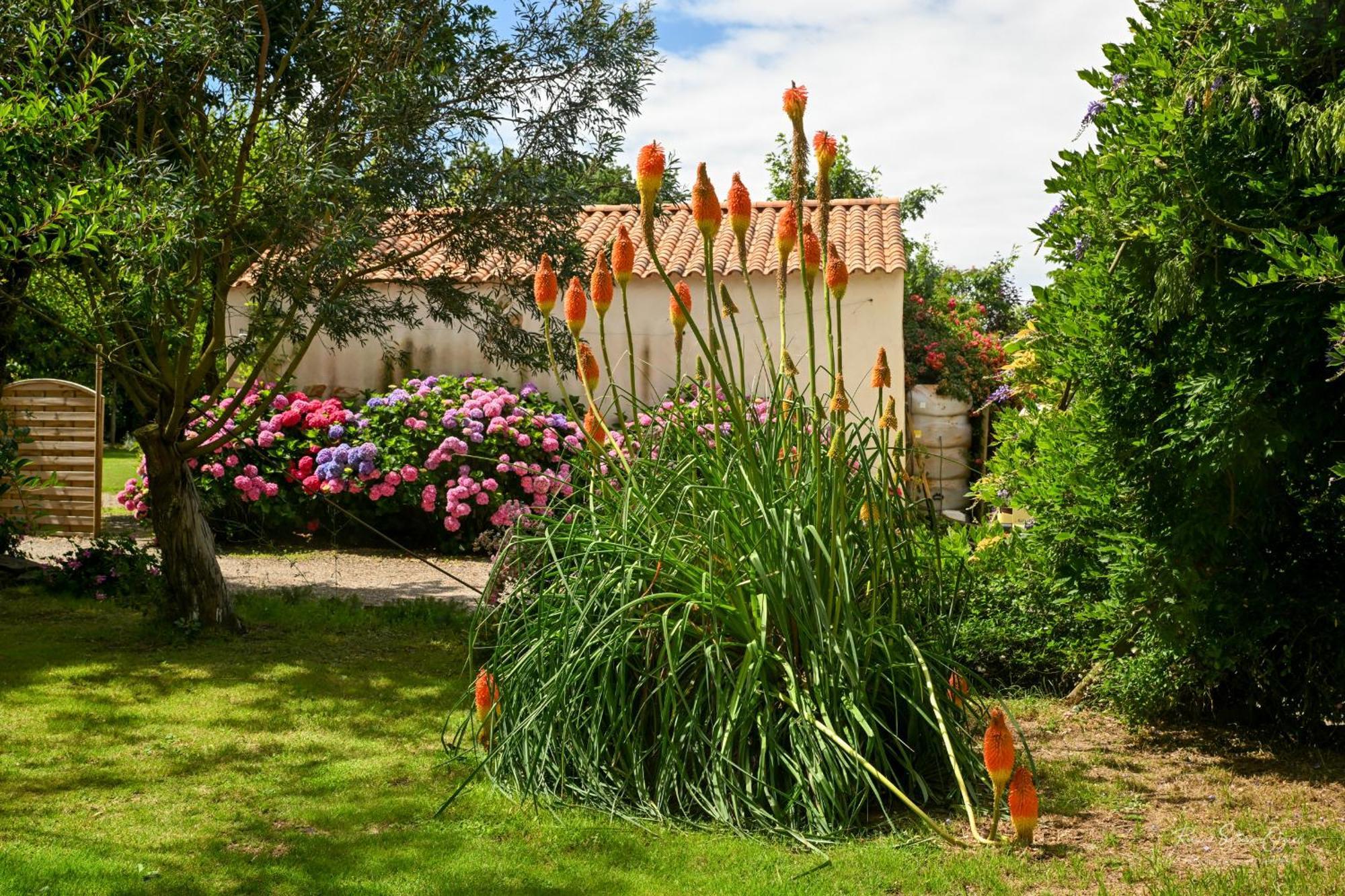 Villa Domaine Les Rousselieres Olonne-sur-Mer Exterior foto