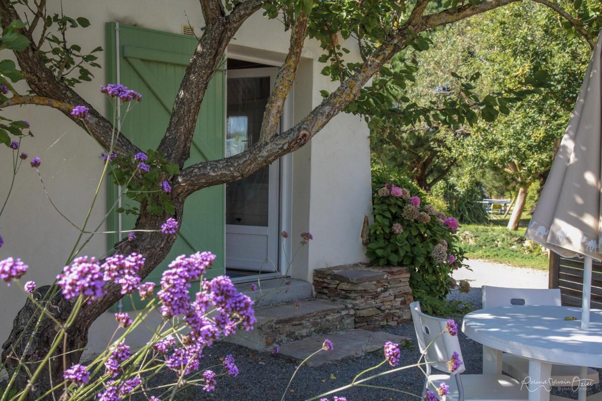 Villa Domaine Les Rousselieres Olonne-sur-Mer Exterior foto